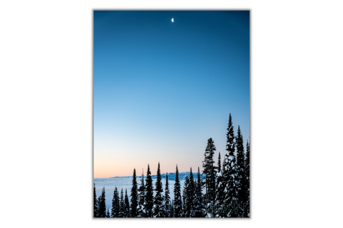 Moon Dusk (Canvas Print)