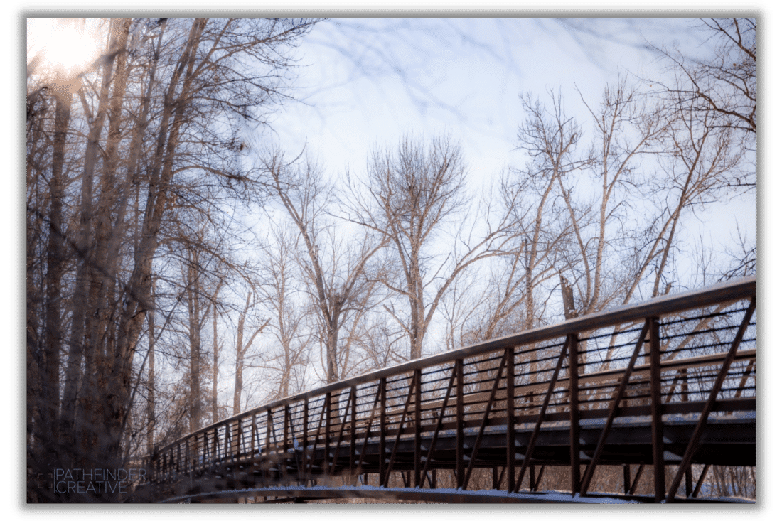 Soft Winter (Canvas Print)