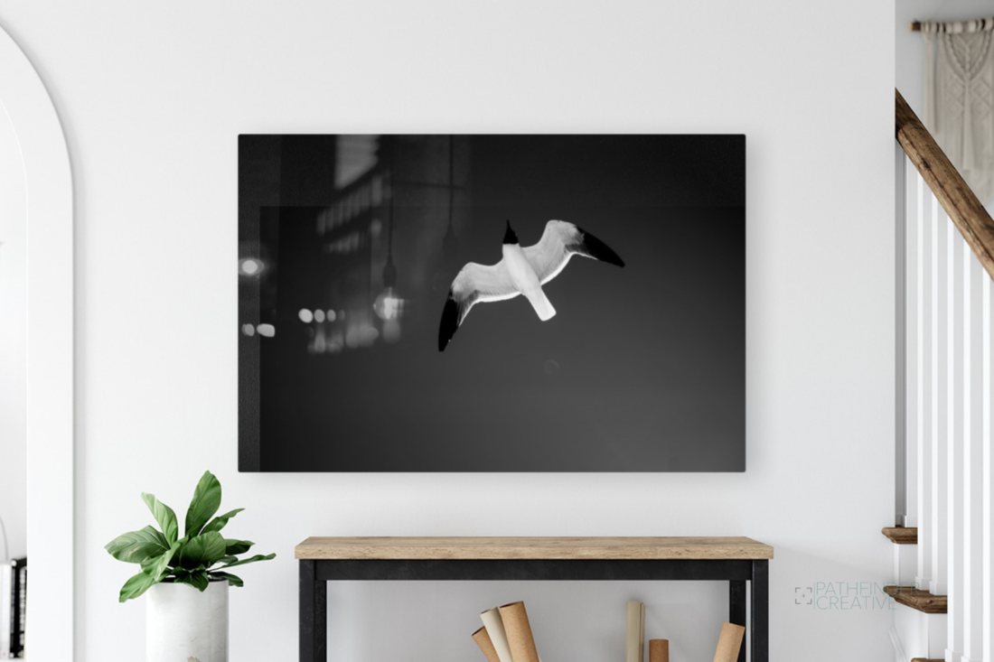 Flight (HD Metal Print)