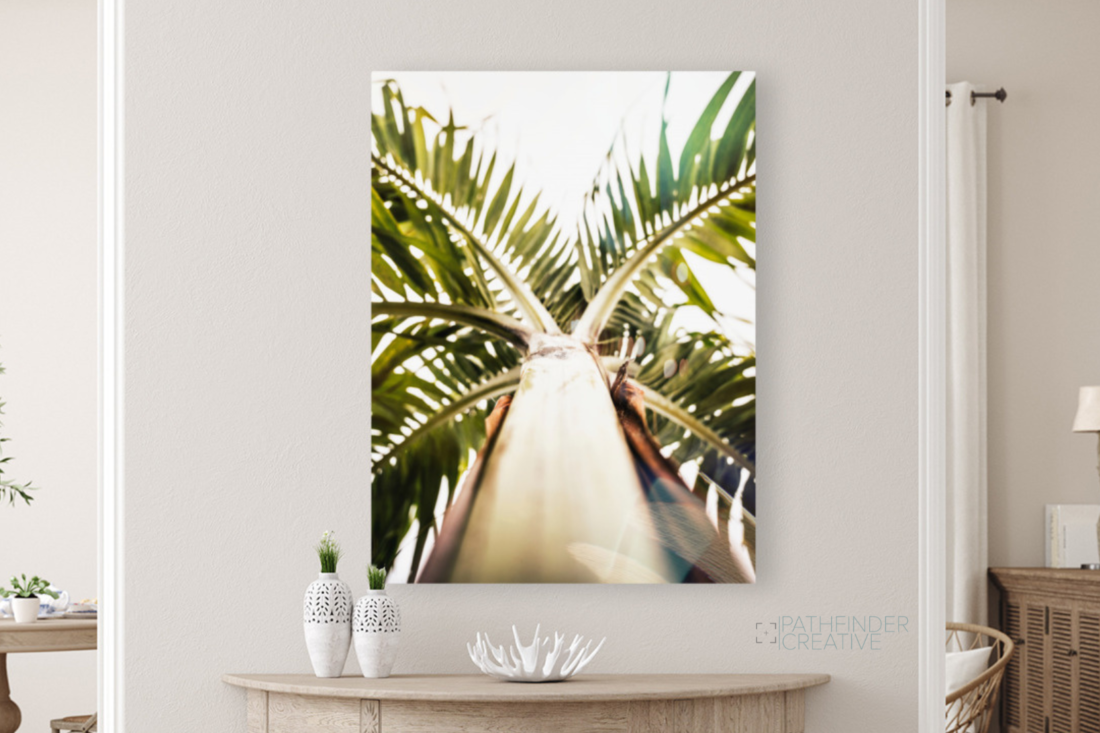 From Below the Palm (HD Metal Print)