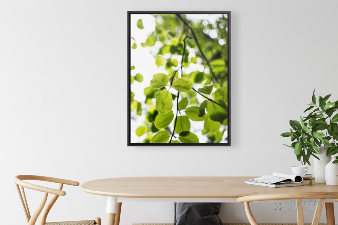 Aspen Glow (HD Metal Print)