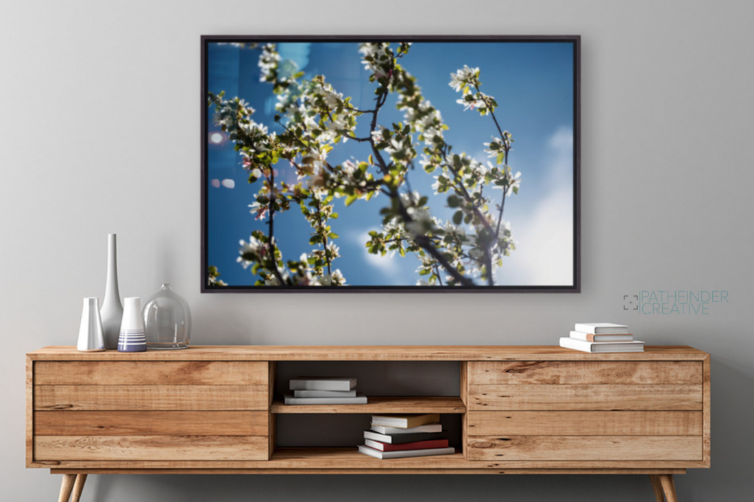 Dreaming of Spring (HD Metal Print)