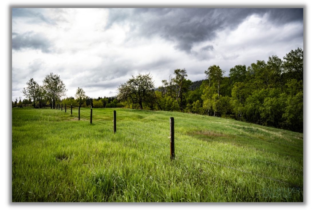 Fenceline (Canvas Print)