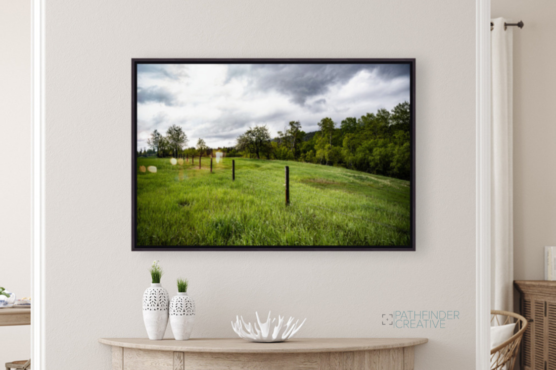 Fenceline (HD Metal Print)