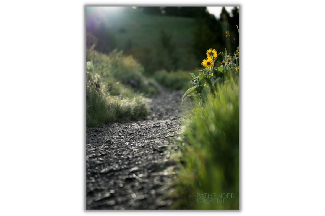 New Trail (Canvas Print)