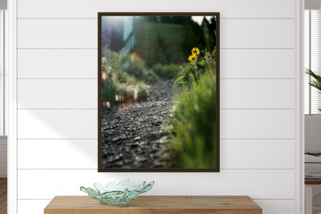 New Trail (HD Metal Print)