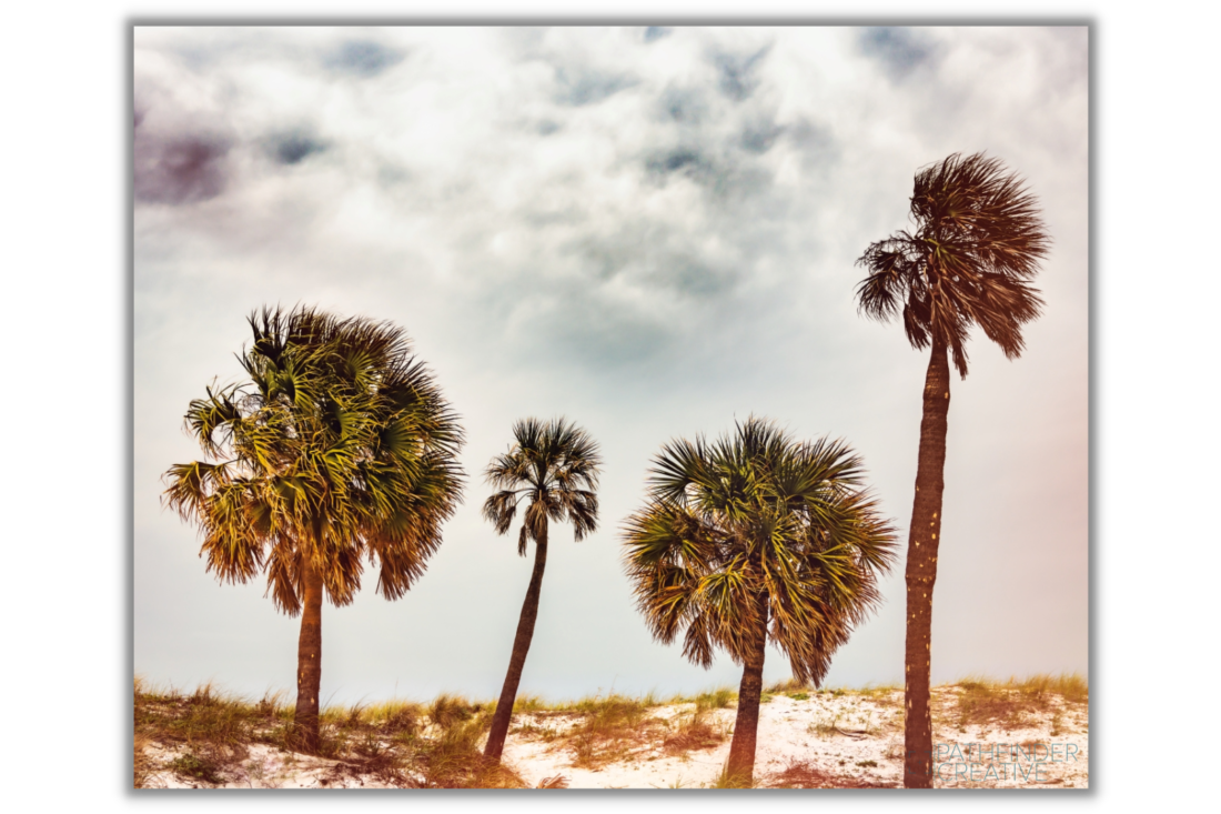 Retro Beach Day (Canvas Print)