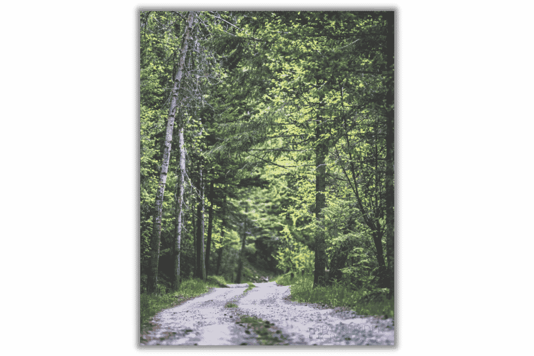 Road to Nowhere (Canvas Print)