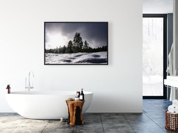 Winter Haven (Canvas Print) - Image 3
