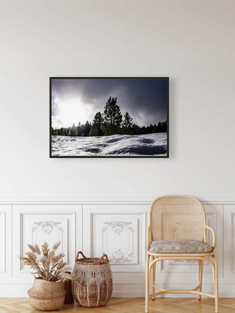 Winter Haven (Canvas Print) - Image 5
