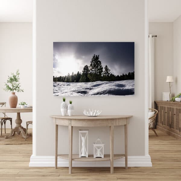 Winter Haven (Canvas Print) - Image 2