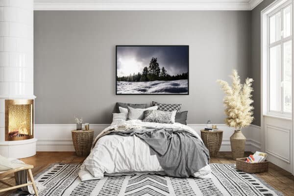 Winter Haven (Canvas Print) - Image 4