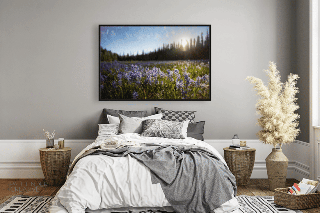 Packer Meadow (HD Metal Print)