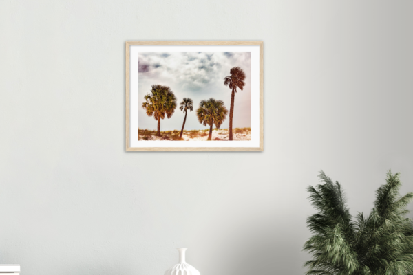 modern room with palm and decorative print of palm trees