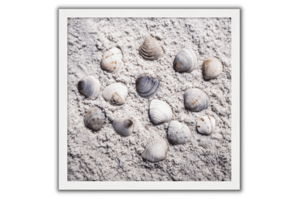 colorful seashells on beach sand