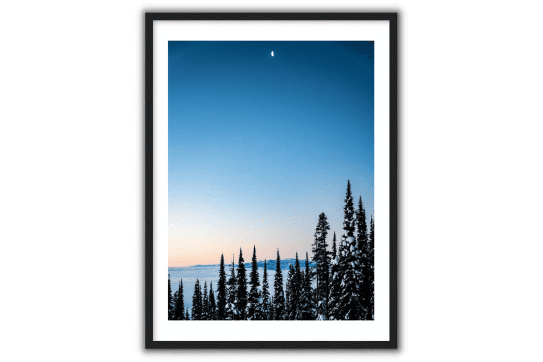 the moon over a blue morning sky and snowy trees