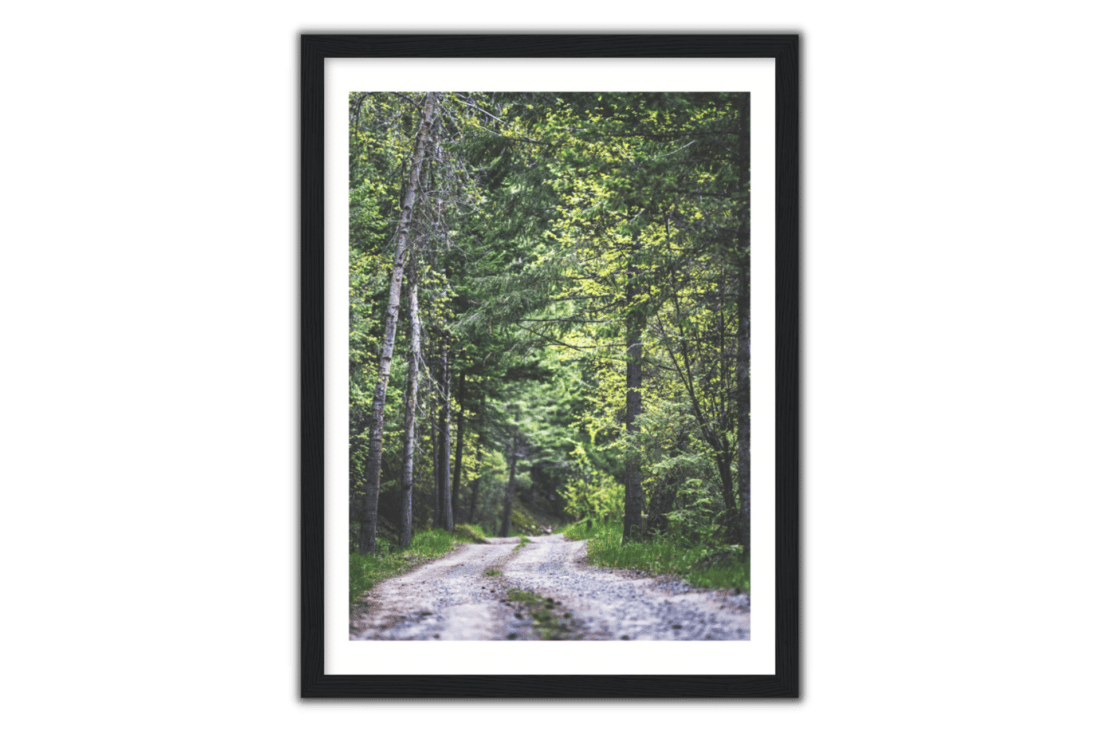 mountain dirt road with green forest surrounding