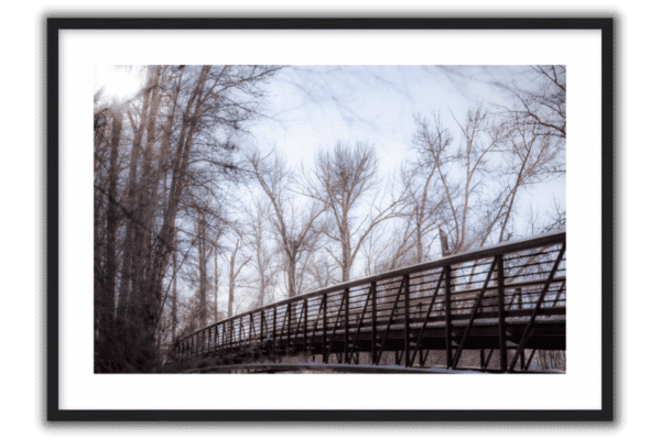 winter trees with a corten steel bridge over a creek