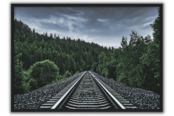 train tracks going through a dark green forest with stars at twilight