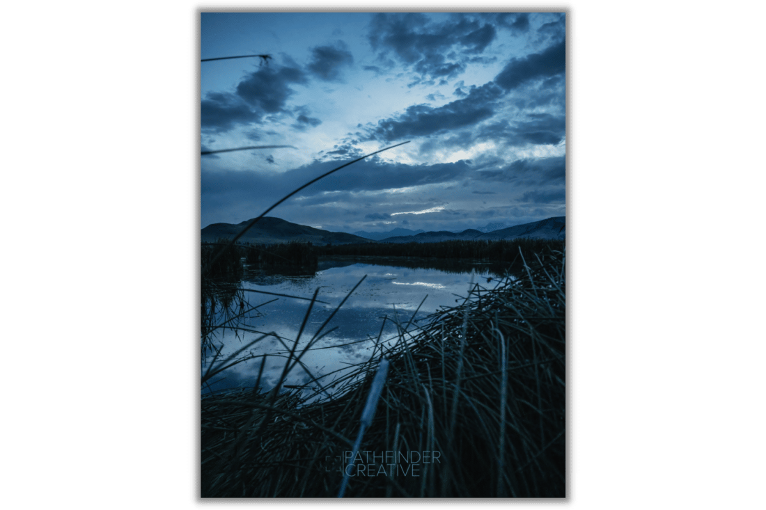 dark blue morning light with cat tails and a pond in montana