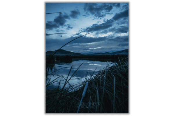 dark blue morning light with cat tails and a pond in montana